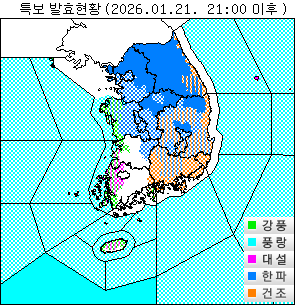 ���Ư�� ��Ȳ