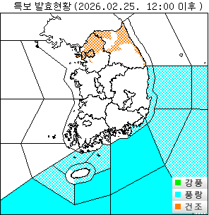 ���Ư�� ��Ȳ