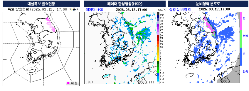 대설특보 현황, 레이더 영상 및 눈비영역 분포도