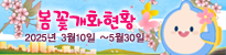 봄꽃 개화현황